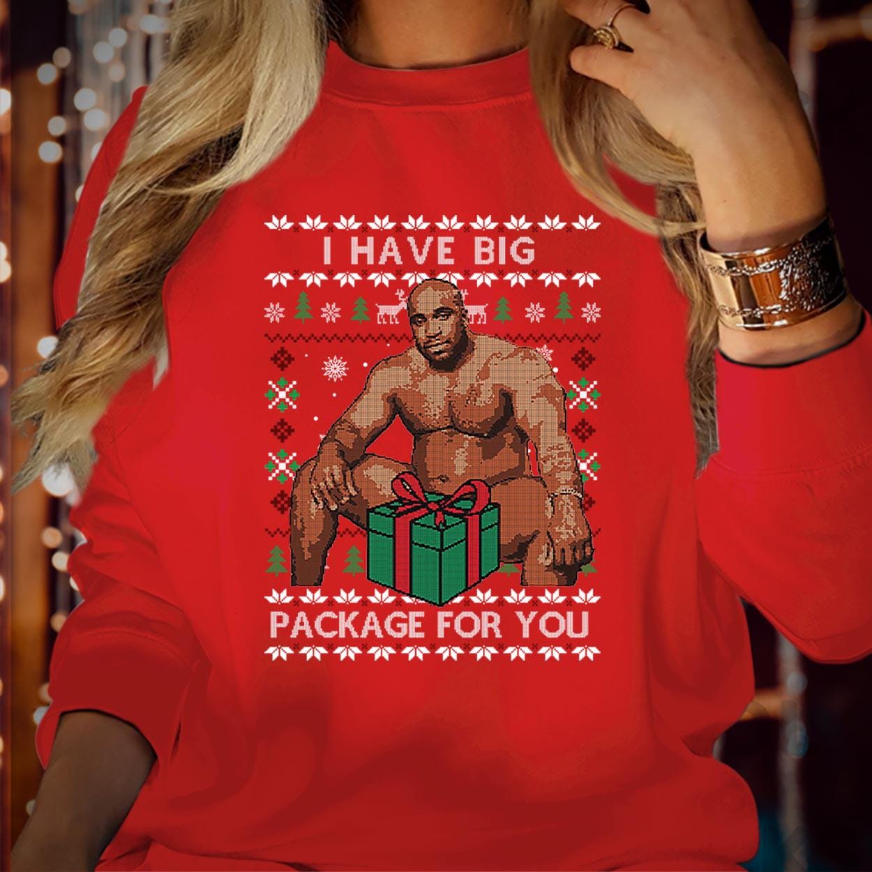 SWEATSHIRT (5292) Merry Christmas I Have Big Package For You Funny Ugly Barry Rude  Men  Holiday Festive Xmas Jumper